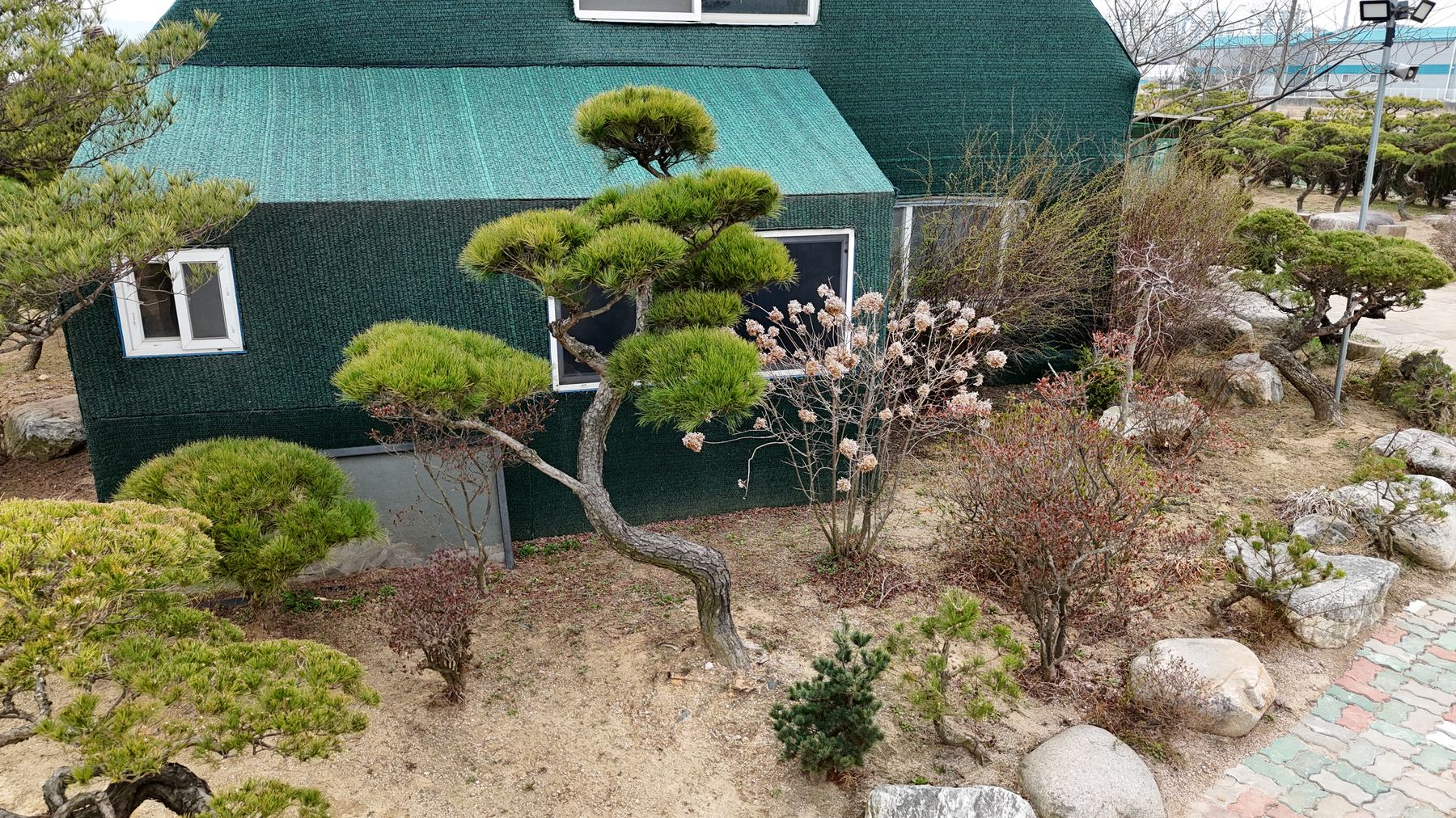 농장 수목