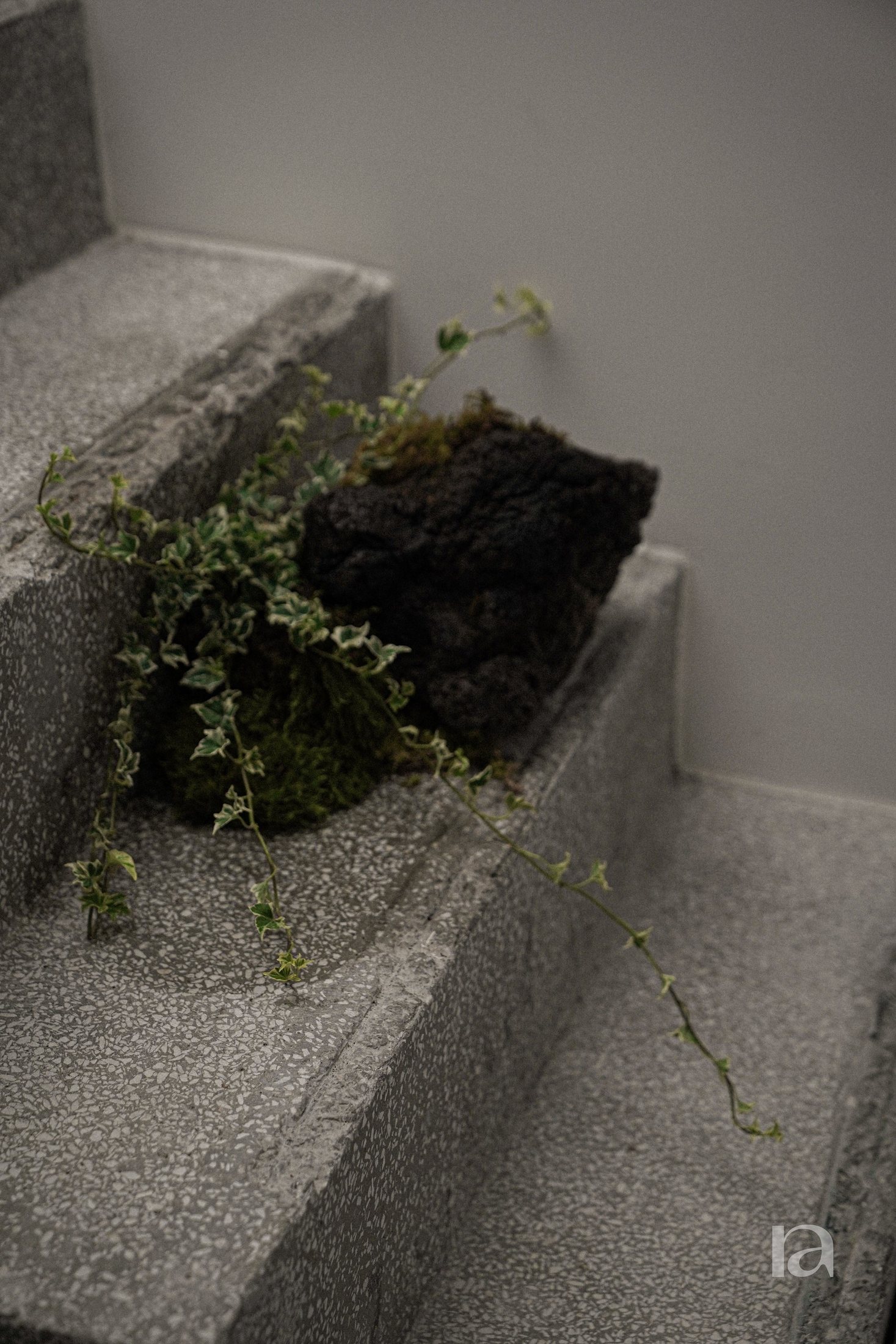 999휴머니티 팝허브 팝업 조경 11
