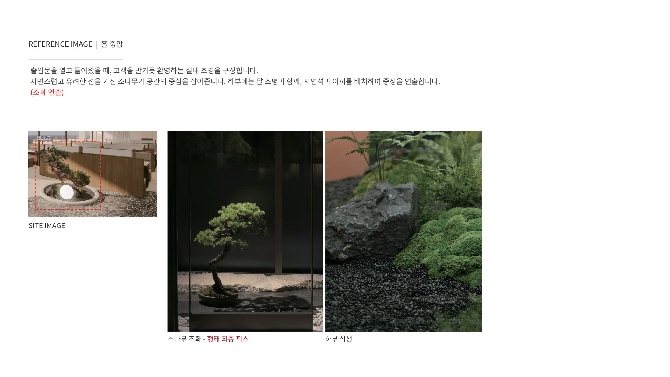 출입구 소나무 중정 제안