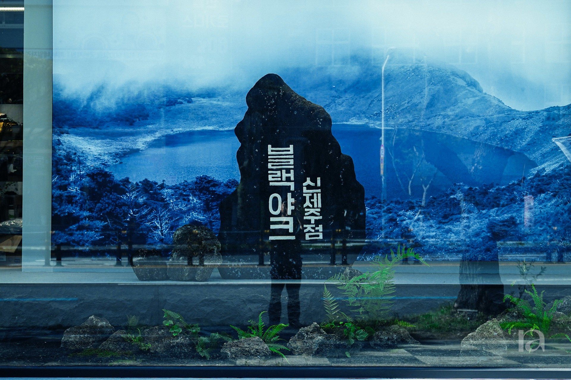블랙야크 신제주 플랜테리어 13