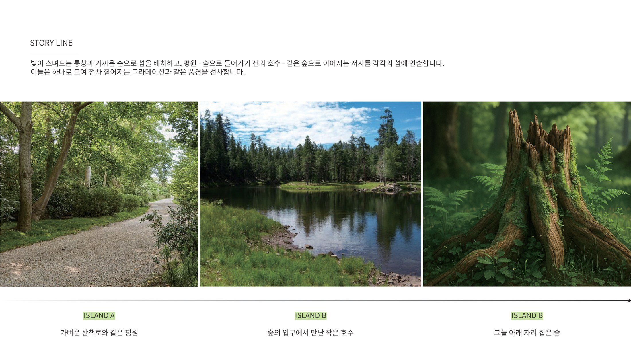 스토리 라인, 평원에서 숲까지