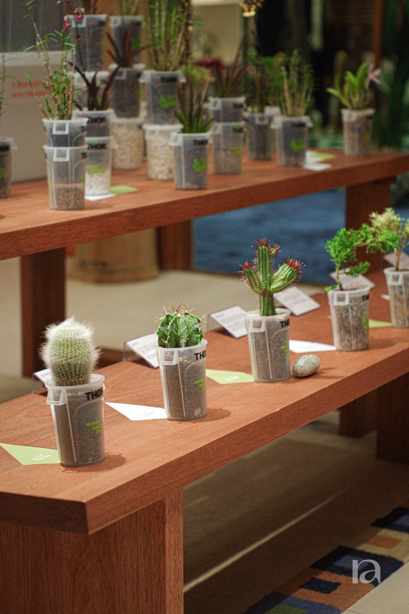 페치 × 999프로젝트 팝업 조경 2