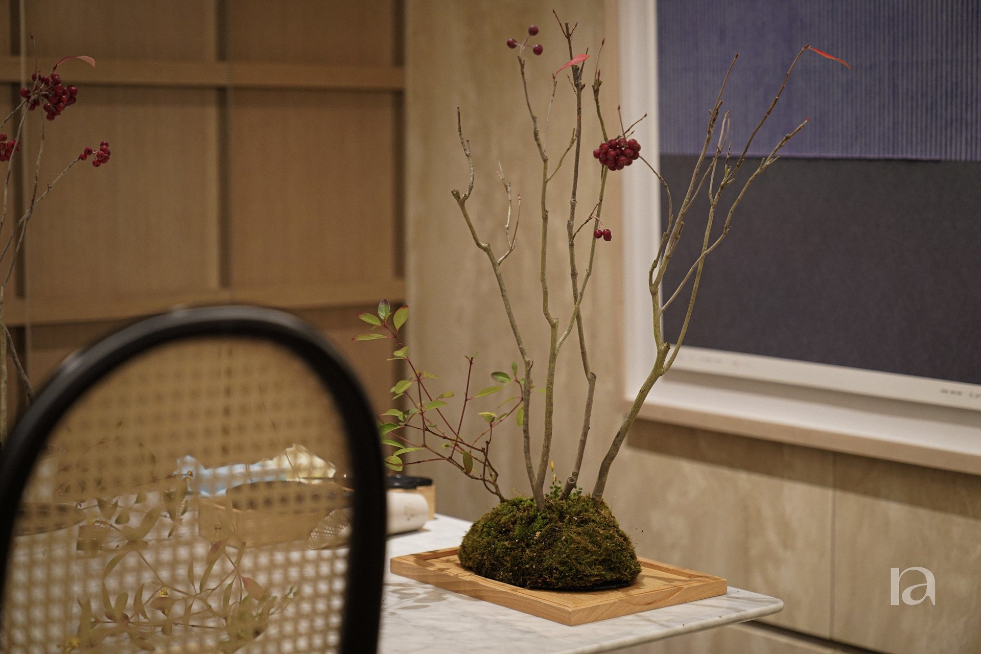 Galleria Bonsai Class