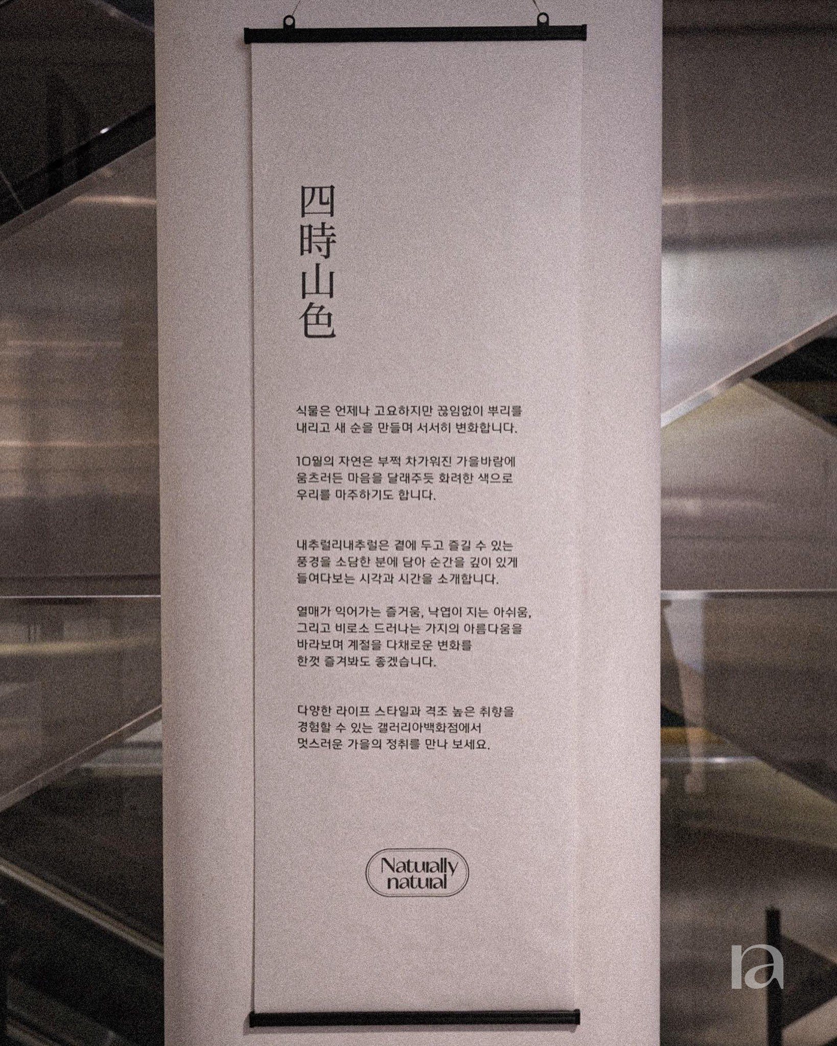 갤러리아 명품관 팝업 팝업 조경