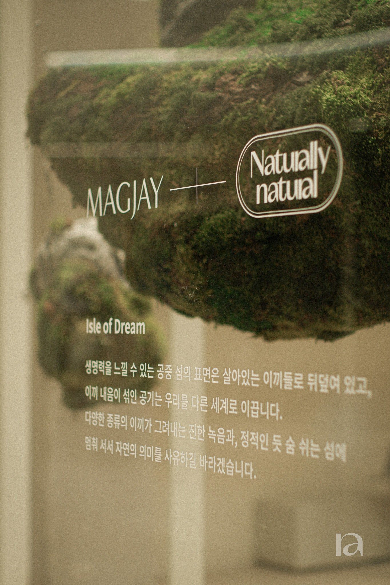 메그제이 매장 조경 4