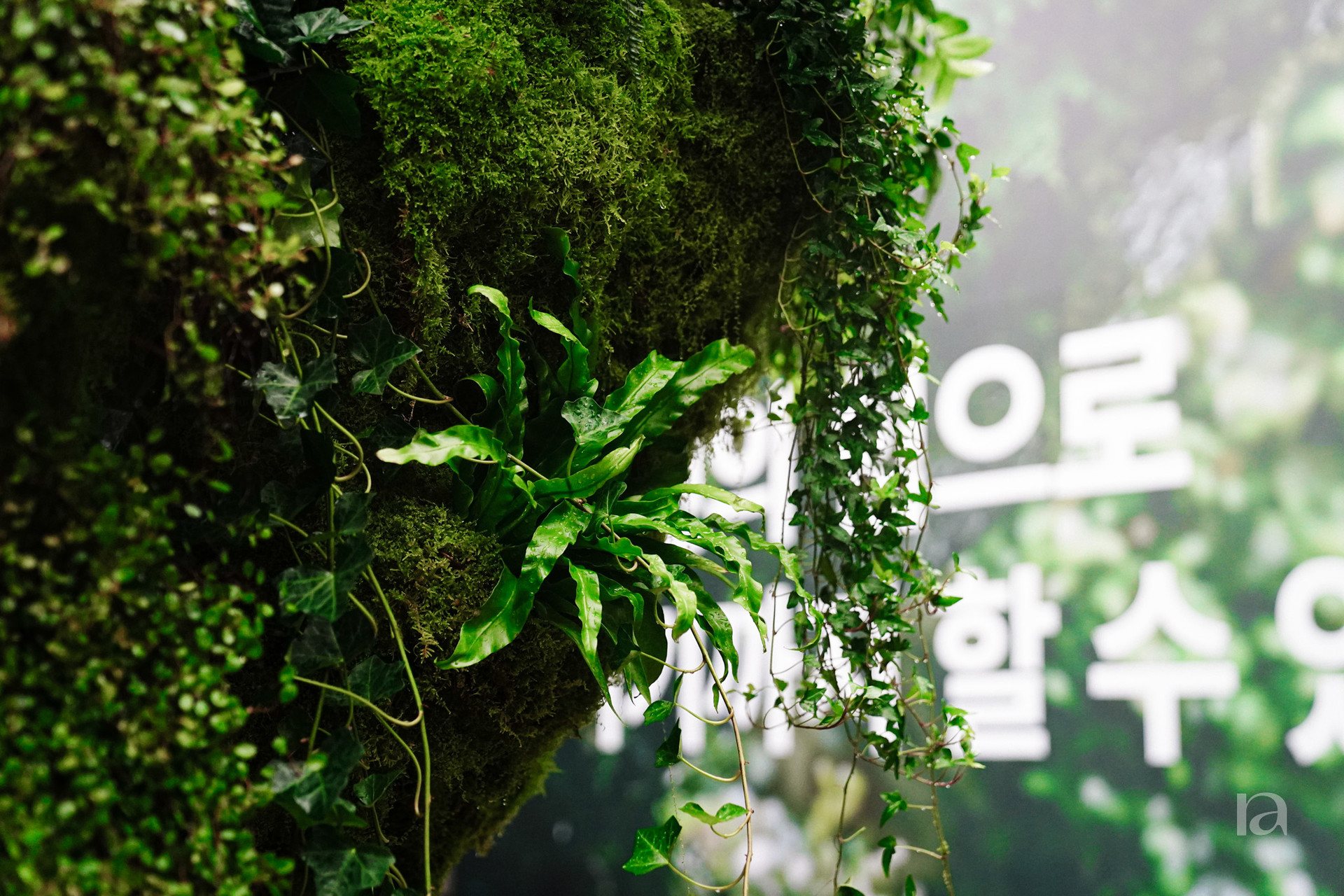 무인양품 LCDC 팝업 조경 11