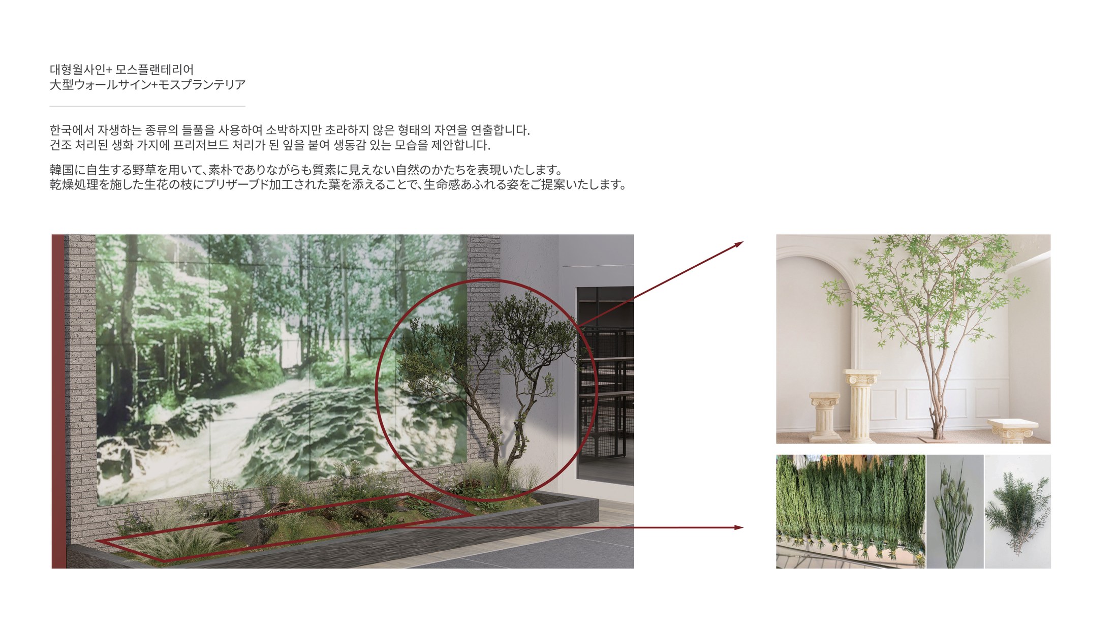 월사인·모스 플랜테리어 렌더