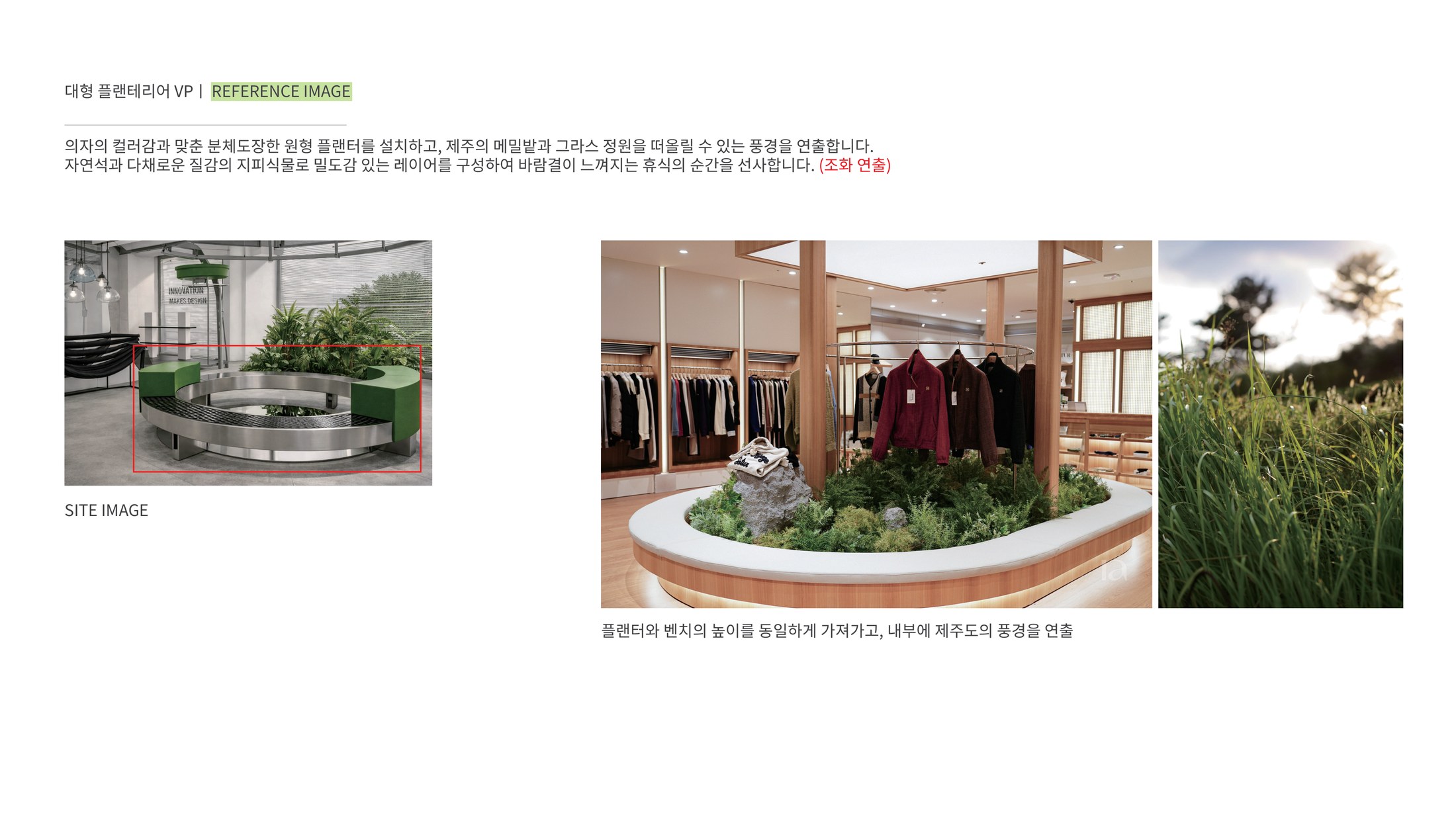 대형 플랜테리어 VP 제안