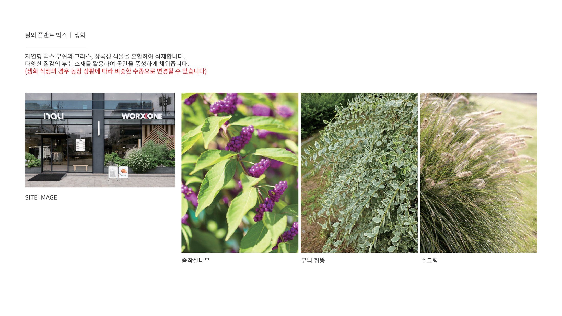 실외 플랜트 박스 식재 계획