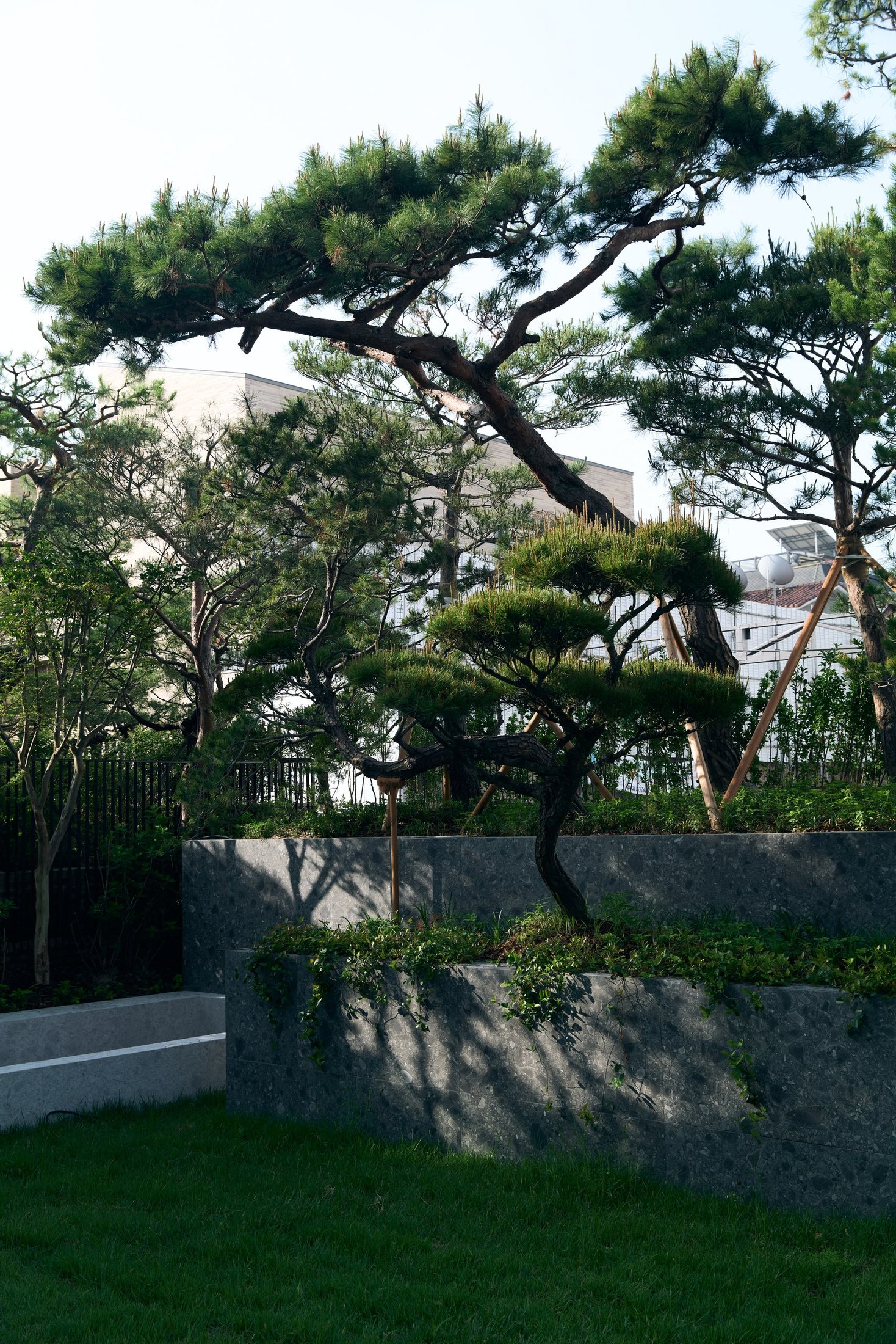 삼성동 단독주택 주택 정원 9