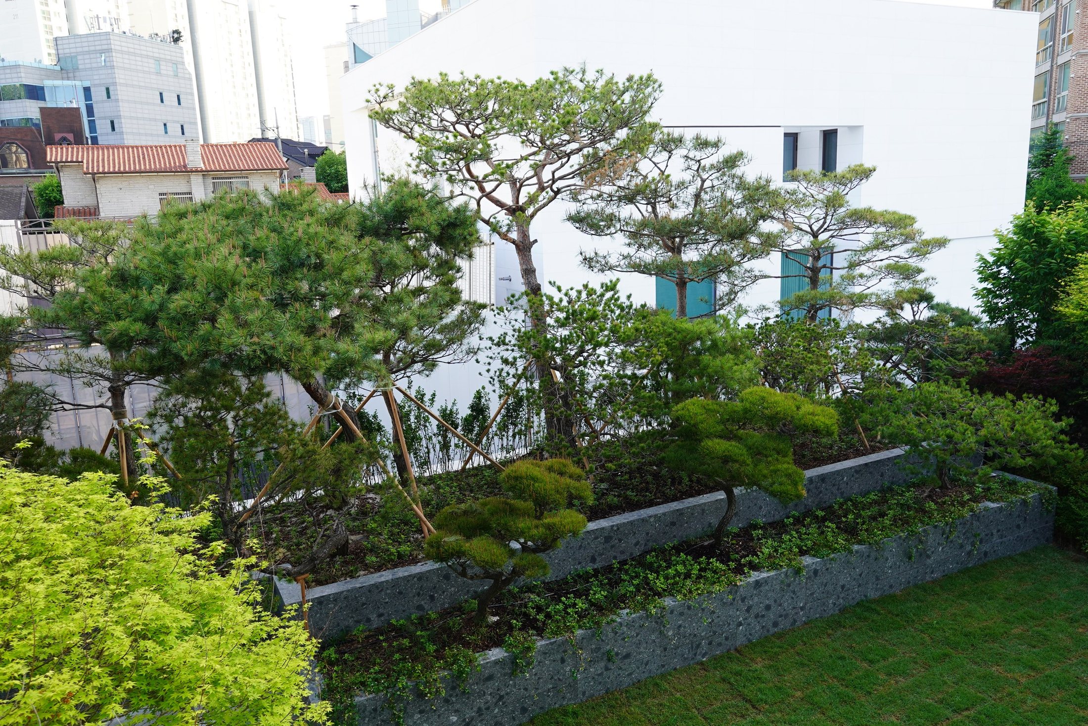 삼성동 단독주택