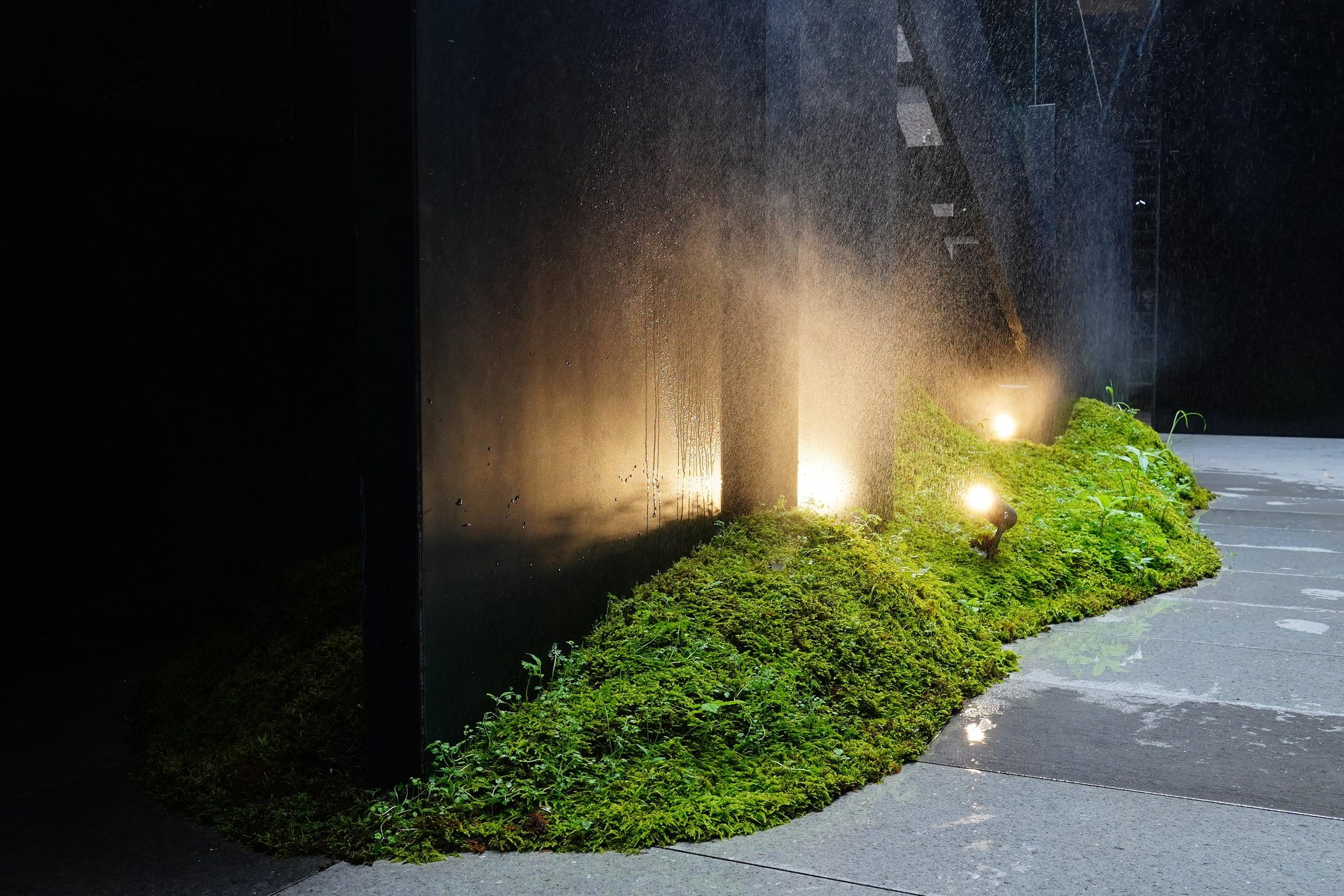 레스토랑 산 식물 오브제