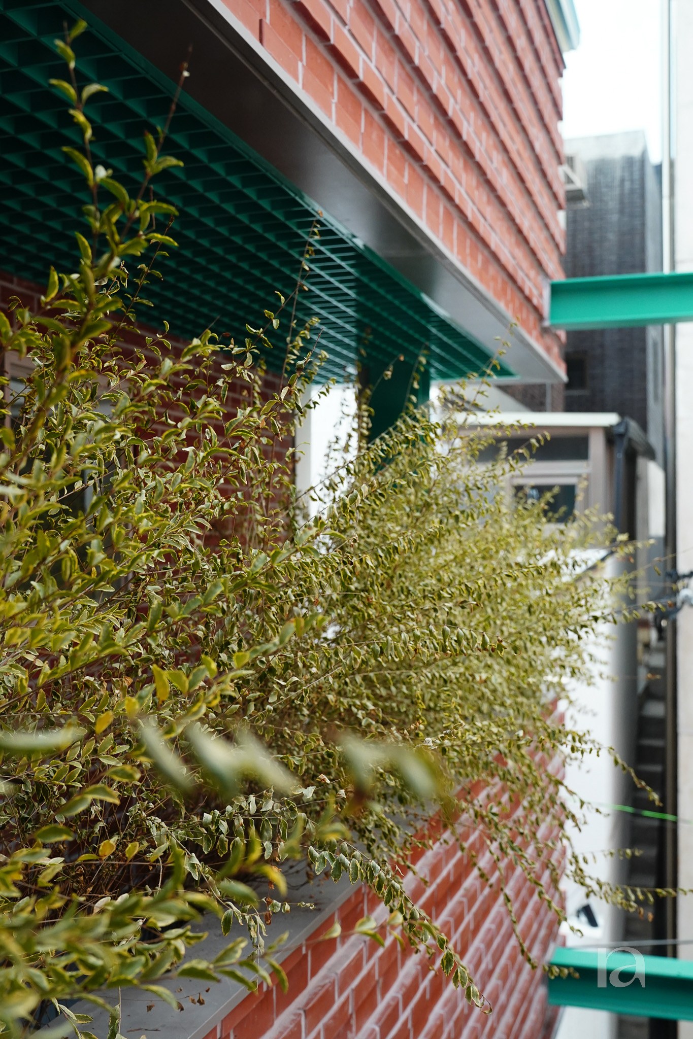성수동 301-58 조경 디자인 12